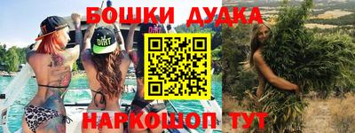 прущие крисы Нальчик