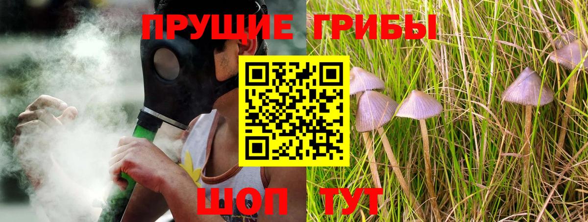 Галлюциногенные грибы ЛСД  Вход с VPN  купить закладку  Псилоцибиновые грибы Magic Shrooms  Черногорск 