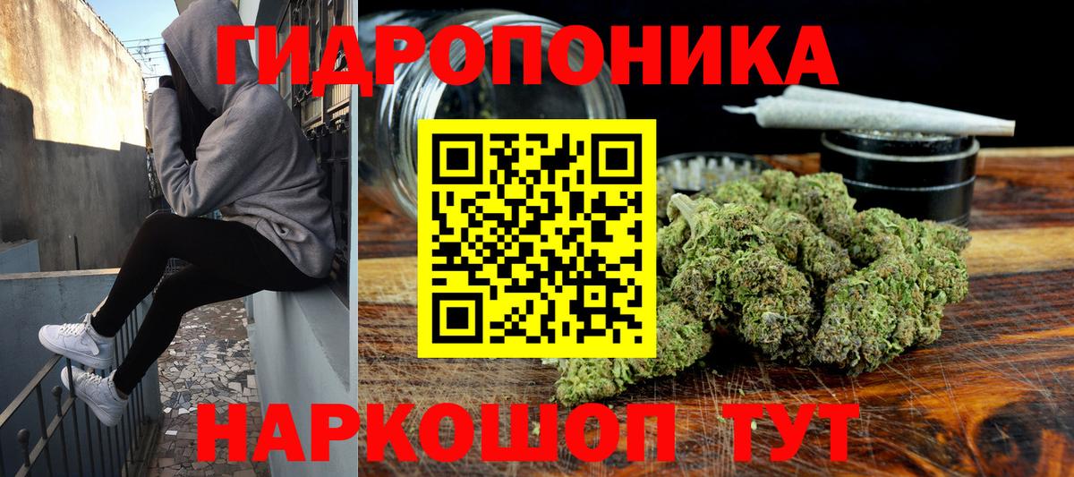 Бошки Шишки Bruce Banner Черногорск